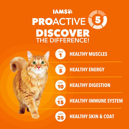 Proactive Health Healthy Adult Dry Cat Food, Chicken, 22 Lb